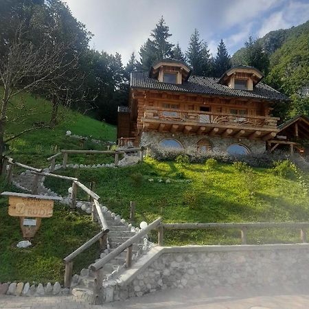 Natur Apartma Rudi Begunje na Gorenjskem Exteriör bild