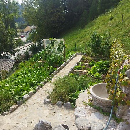 Natur Apartma Rudi Begunje na Gorenjskem Exteriör bild