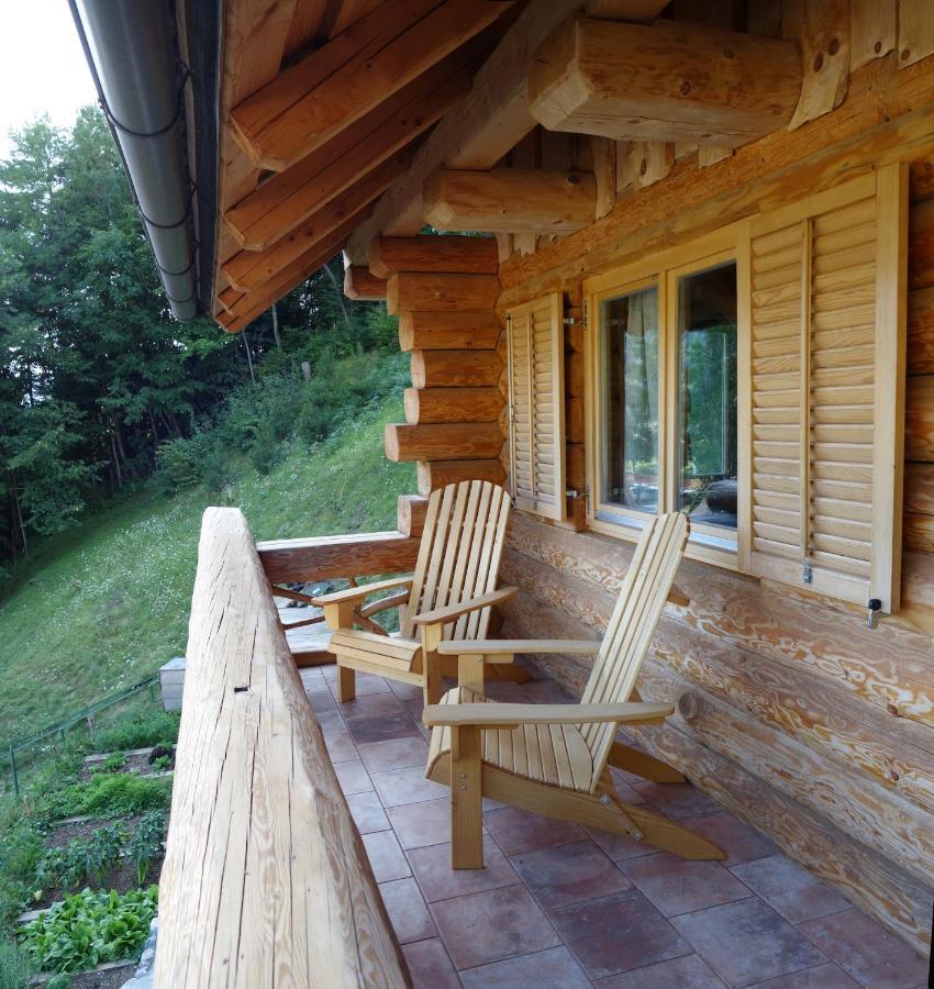 Natur Apartma Rudi Begunje na Gorenjskem Exteriör bild