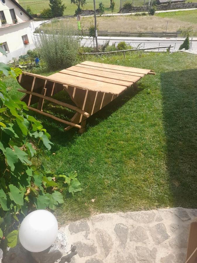 Natur Apartma Rudi Begunje na Gorenjskem Exteriör bild