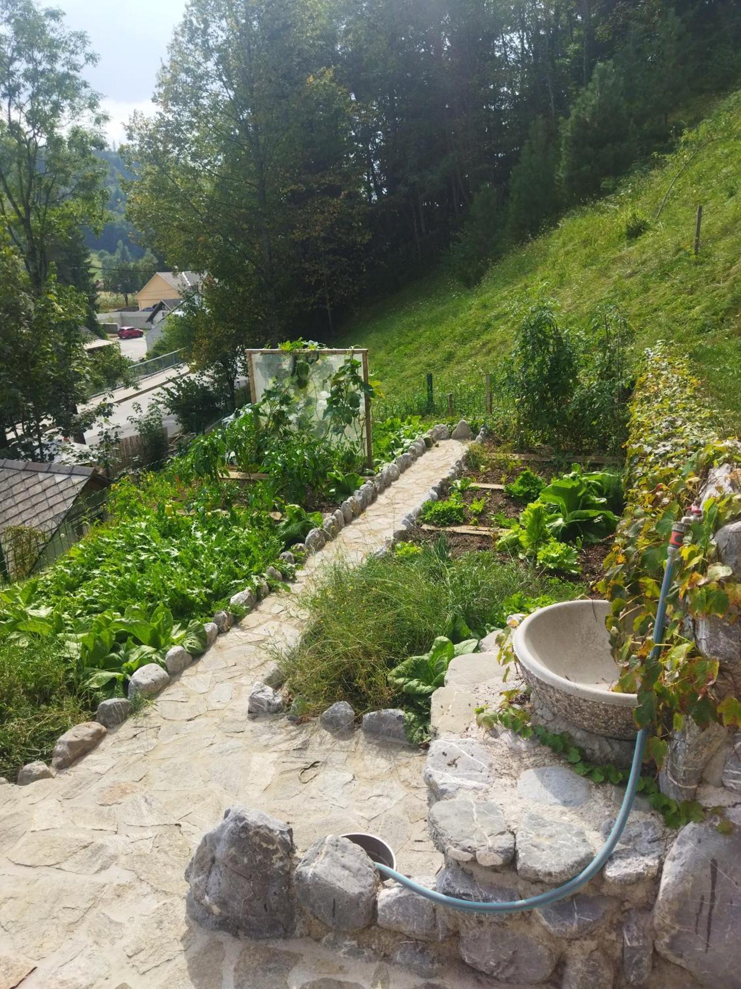 Natur Apartma Rudi Begunje na Gorenjskem Exteriör bild